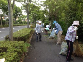 琵琶湖市民清掃